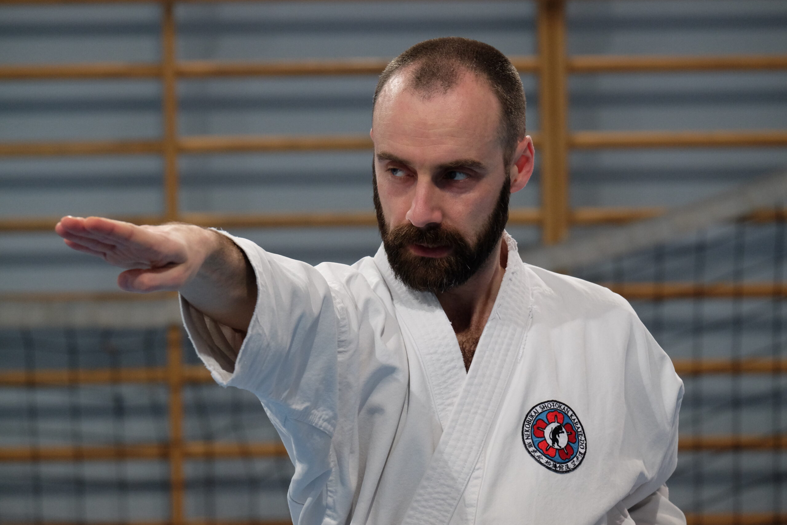 Sensei Alberto Scarpellini performing haito